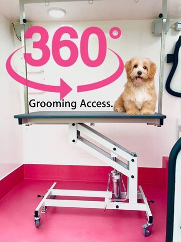 Standalone Grooming Van Conversion