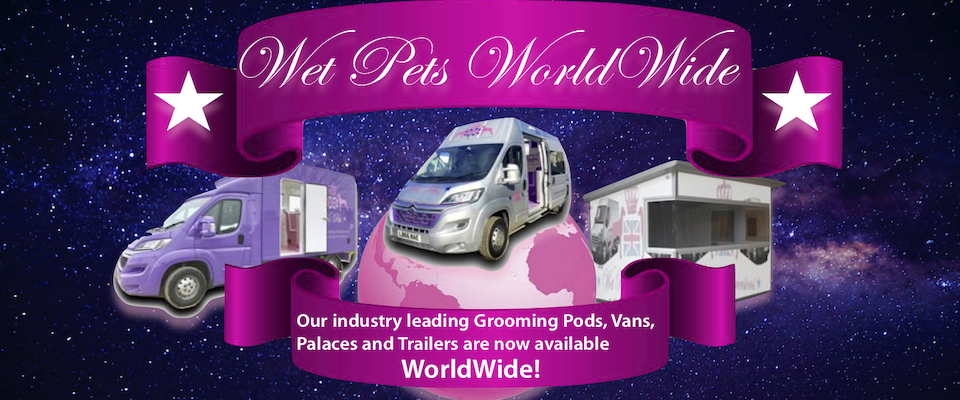 Mobile grooming 2024 van conversions