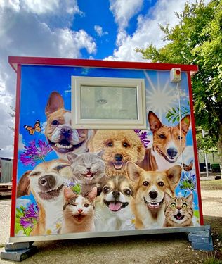 Dog Stylist Pod