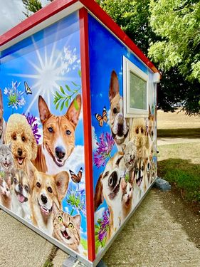 Dog Stylist Pod