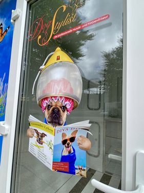 Dog Stylist Pod